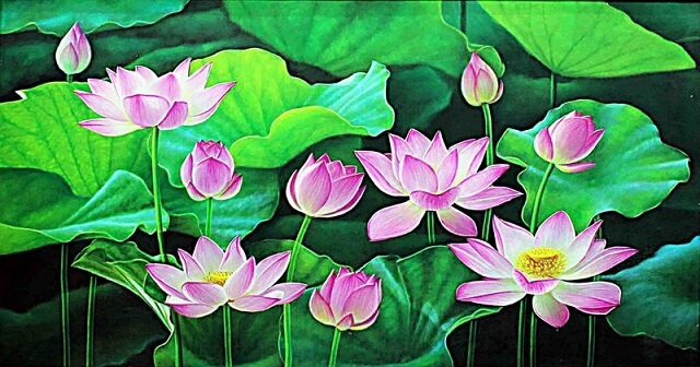 Top 101 Mẫu Vẽ Tranh Tường Hoa Sen Đẹp Phong Thủy Tài Lộc Xu Hướng Hiện Nay 16 Vẽ Tranh Tường Hoa Sen tranh tường hoa sen