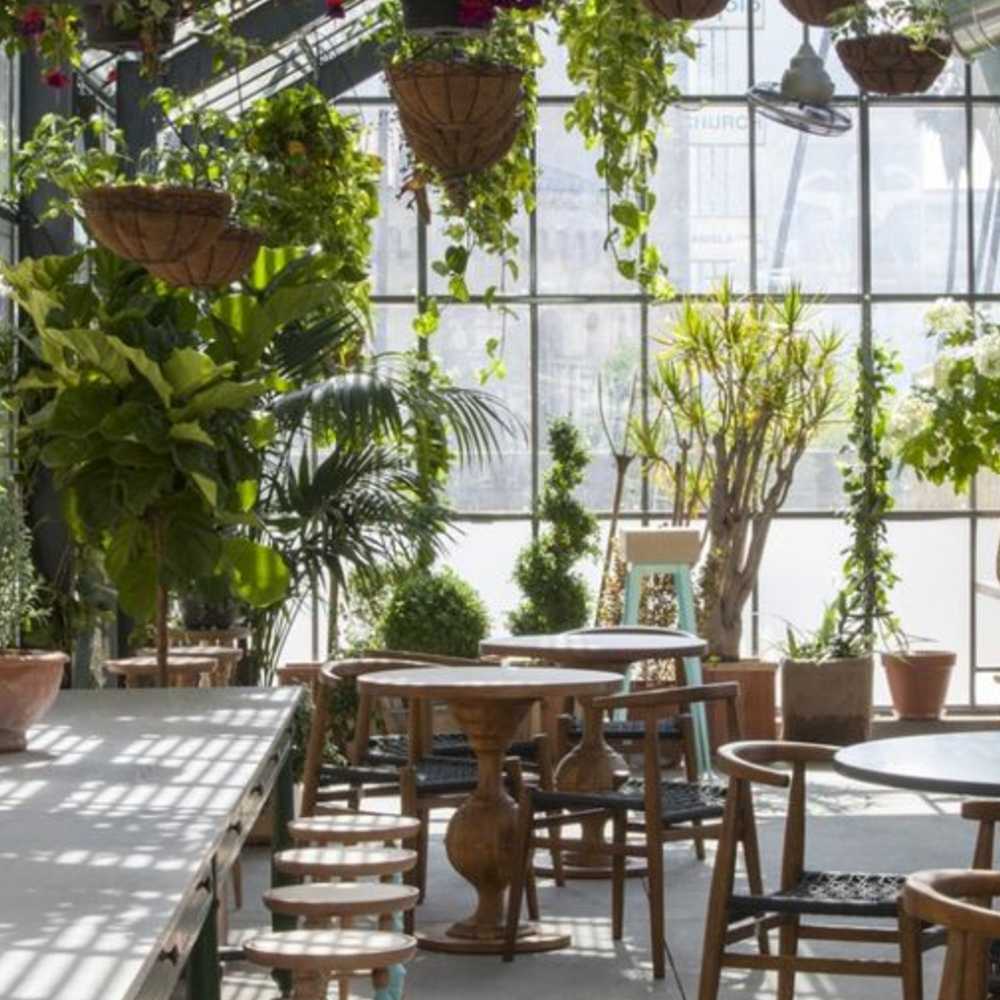 Top 100 mẫu thiết kế quán cafe đẹp độc đáo xu hướng hiện nay 23 cay coi